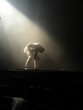 Fuerza Bruta