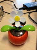 Happy Flower