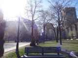 Montreal University Parc