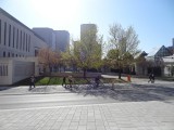 Montreal Place Des Spectacles