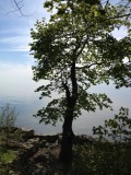 Oakville lake Ontario