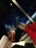 Glass Floor