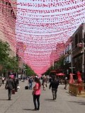 Montreal Pink