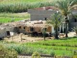 Woon boerderij (640x480)