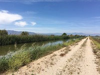 Fietspad in de delta del Ebro