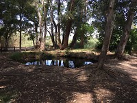 Ullas de baltazar