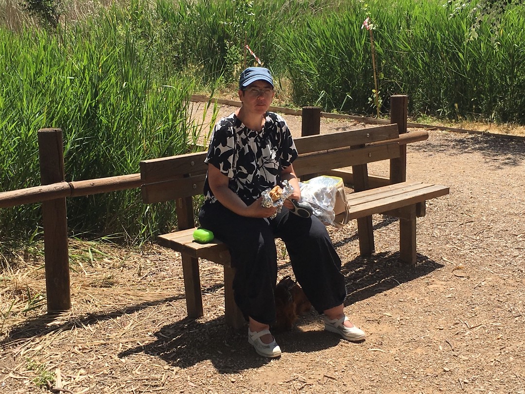 Picknick