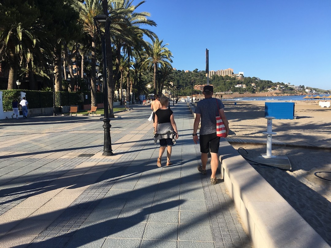 Dijk van Benicassim