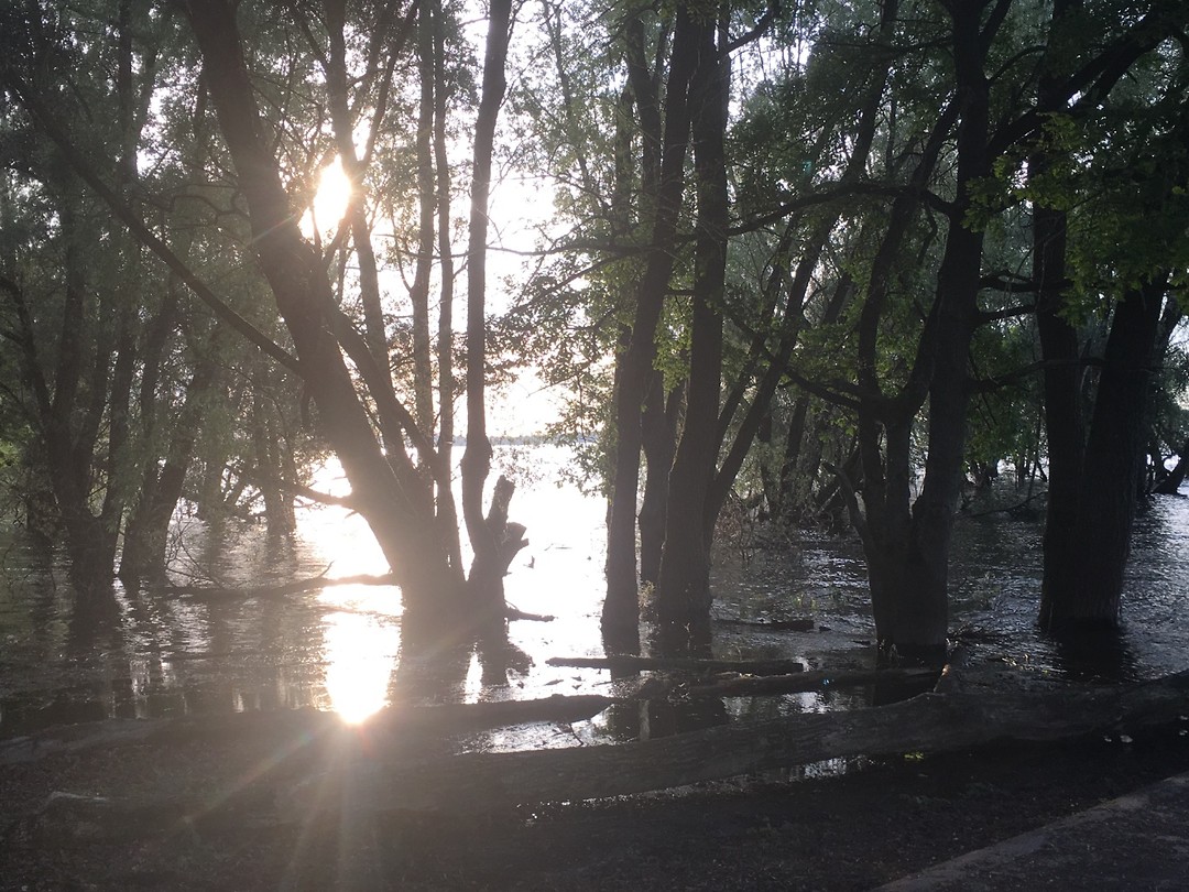 Le Lac d'Orient