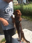 ...en de hond