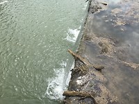 Canal de Morge