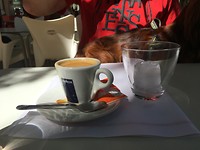 Ijskoffie op de wijze van het huis
