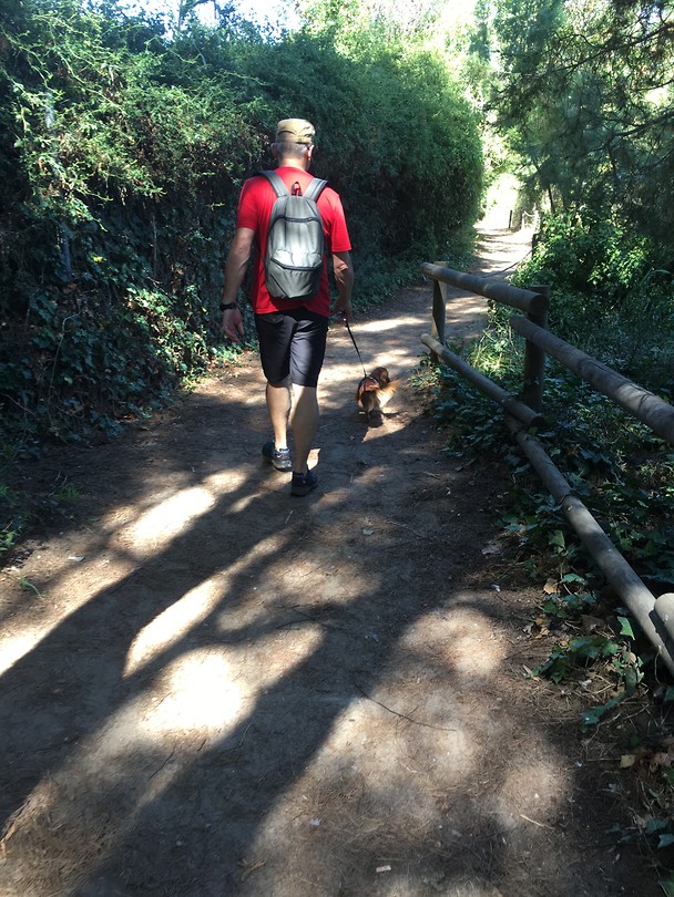 Het wandelpad