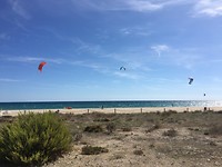 Kitesurfers