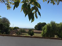 Tamarit