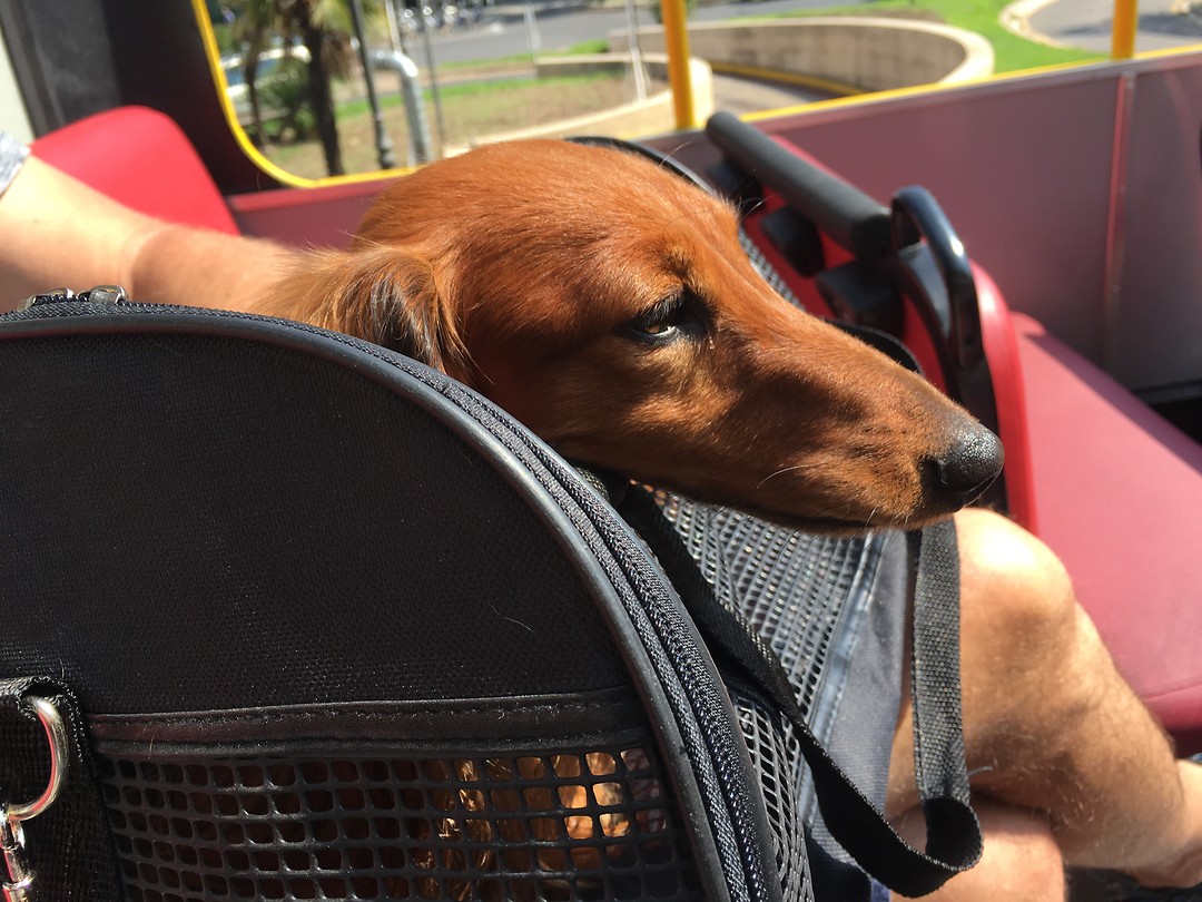 Mijn zwarte cabrio