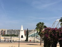 Stad van kunst en wetenschap