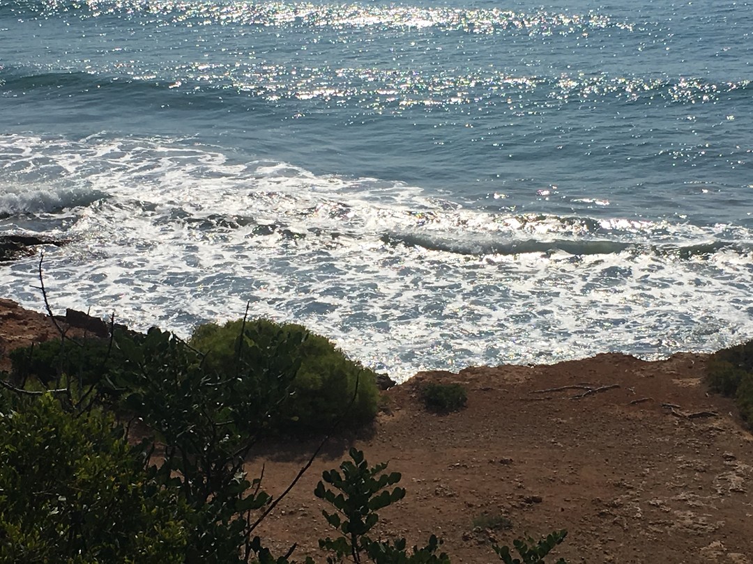 Oropesa