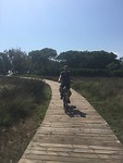Houten fietspad door natuurgebied
