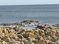 Aldingen