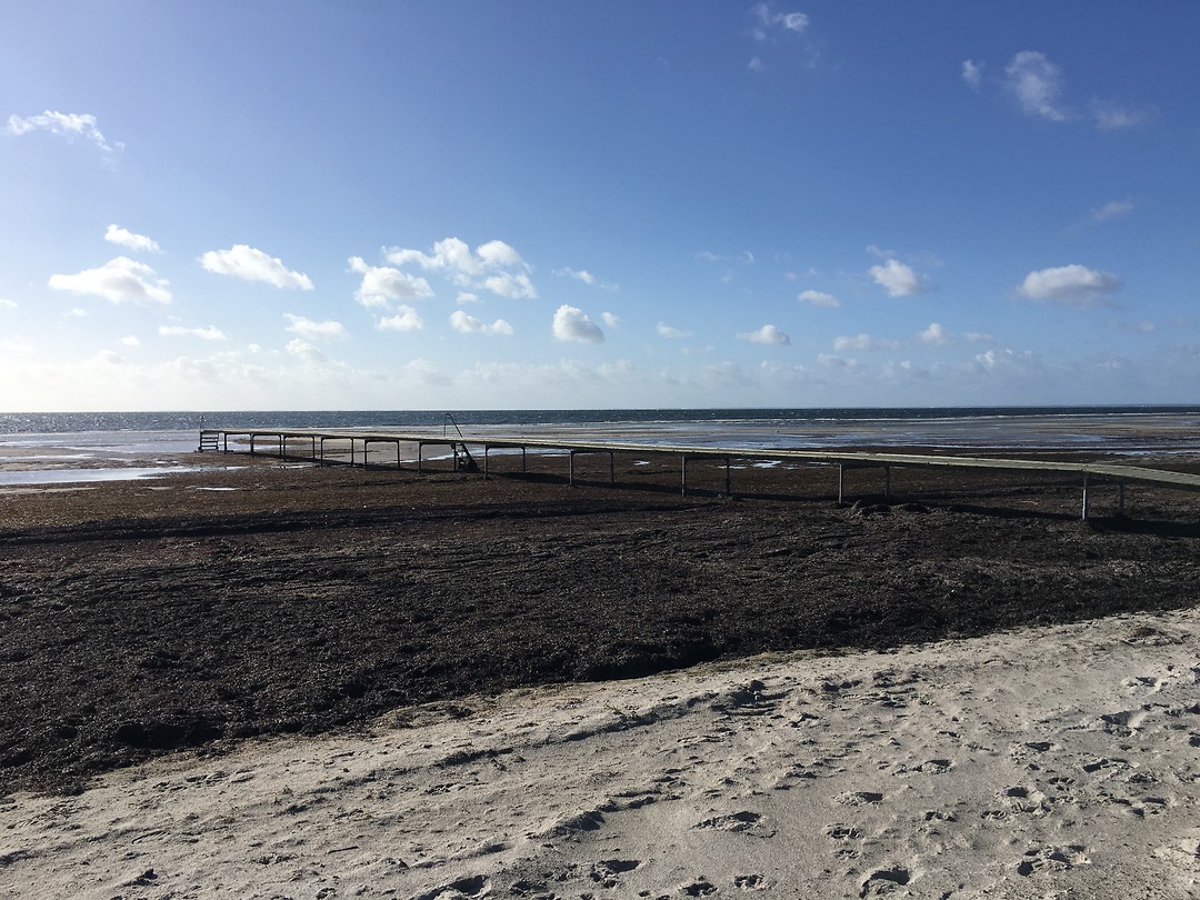 Strand