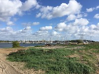 Haven van Hundig