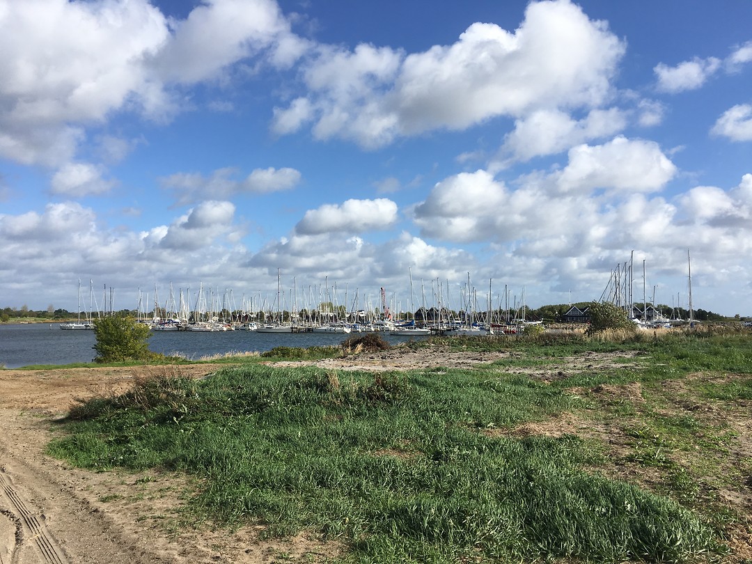 Haven van Hundig