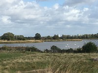 Het zwanenmeer
