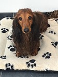 Proper gewassen en klaar voor vertrek