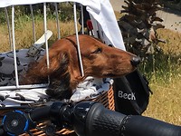 Genieten van ‘t zonneke