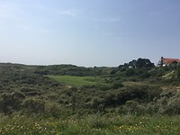 De groene duinen bij Egmond aan zee