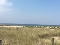 Schoorlse duinen
