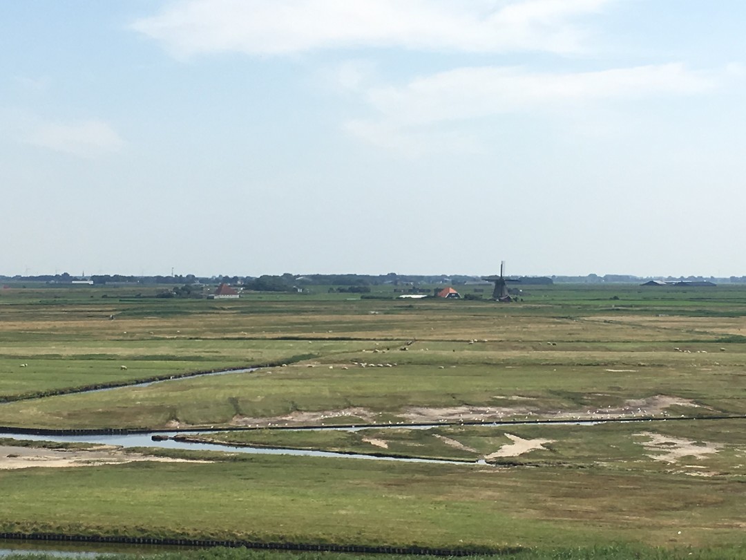 De Groetse polder