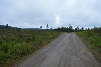 DSC_0062