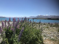 Lake tekapo