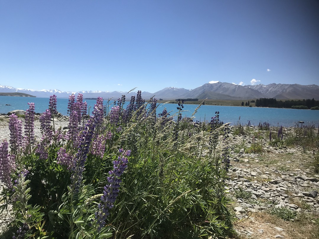 Lake tekapo