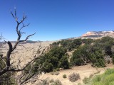 Highway 12