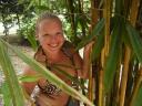 Juu tussen de bamboo