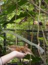 Vogels eten uit je hand