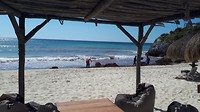 20190327_100210