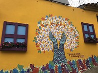 Bogota