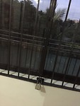 IMG_4709