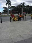 IMG_5065