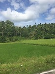 IMG_6041