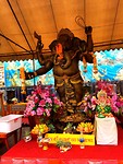 IMG_8454