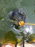 IMG_8515