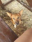 20190522_135035