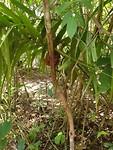 20190528_101302