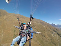 Fly away