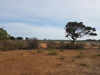 Mooi landschap